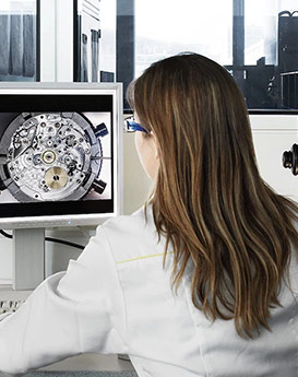 达芙妮·克劳迪娅-嘉兴市秀洲区嘉兴天梭维修保养中心